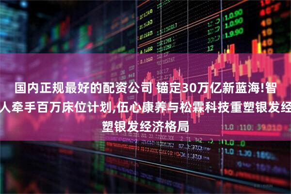 国内正规最好的配资公司 锚定30万亿新蓝海!智能机器人牵手百万床位计划,伍心康养与松霖科技重塑银发经济格局