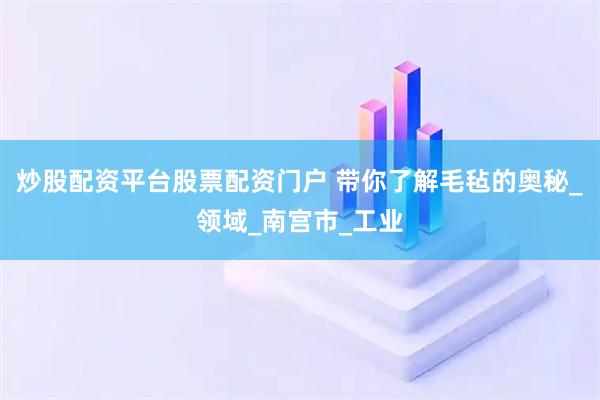炒股配资平台股票配资门户 带你了解毛毡的奥秘_领域_南宫市_工业